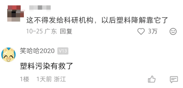 汽车被虫子啃得都是窟窿，“一边咬一边往里钻”！很多人中招