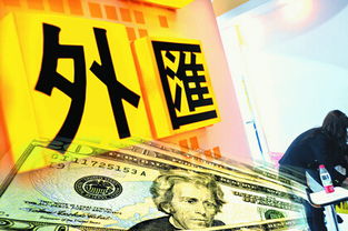 炒外汇传销(炒外汇传销好多人会被刑事处罚)