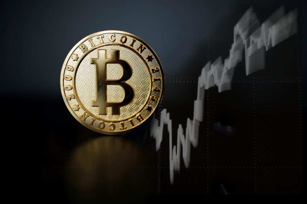 bitcoin(bitcoin price)